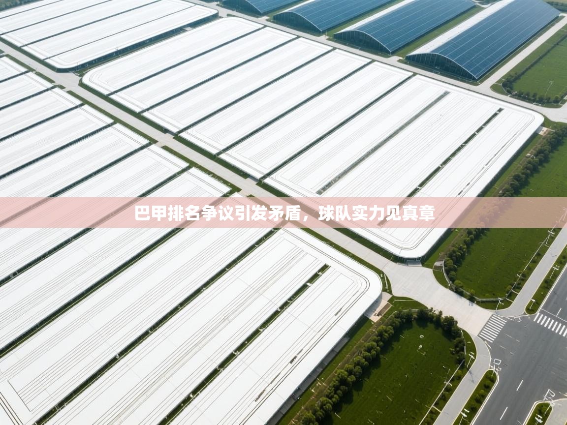 巴甲排名争议引发矛盾，球队实力见真章  第2张