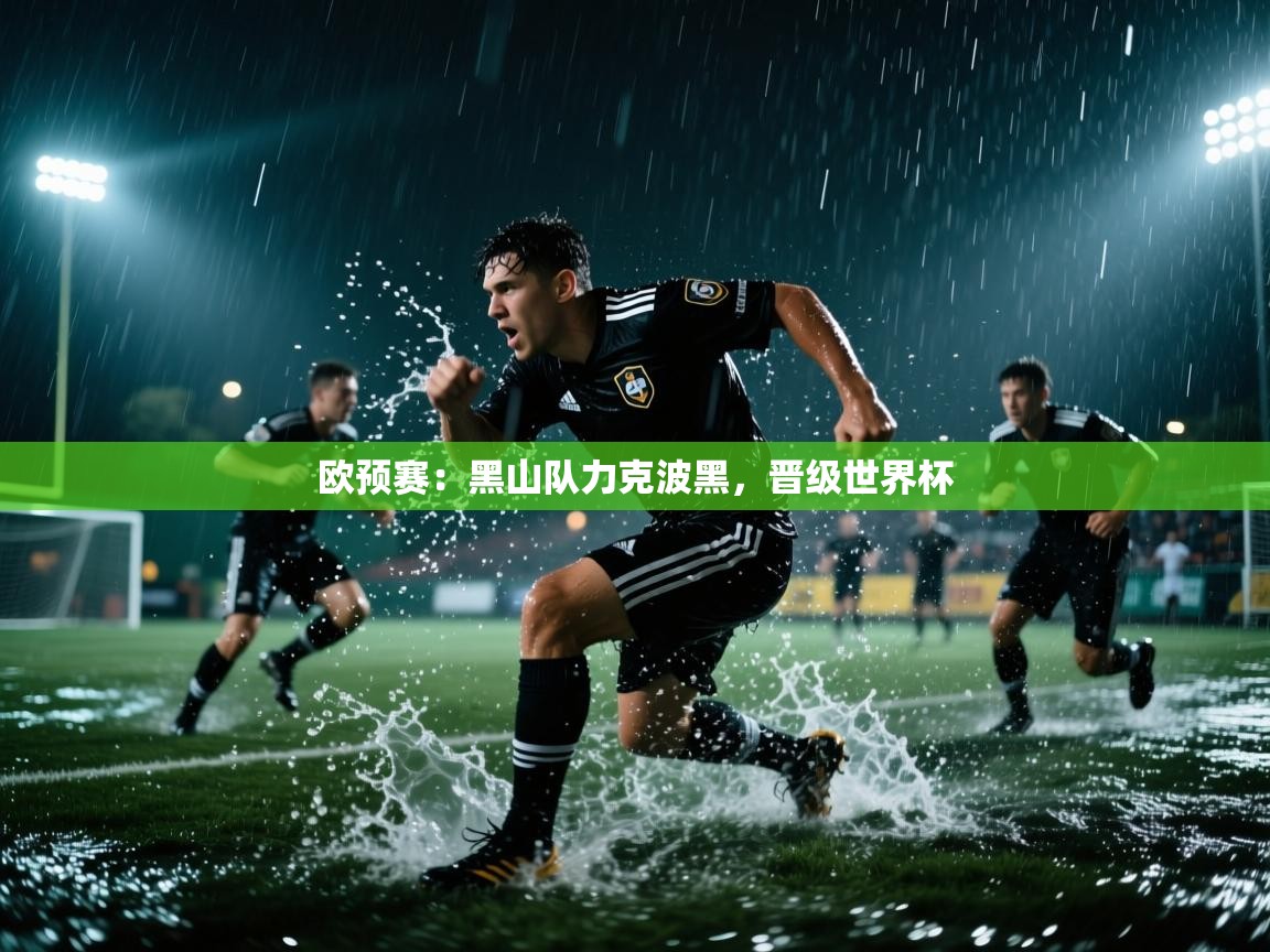 欧预赛：黑山队力克波黑，晋级世界杯  第2张