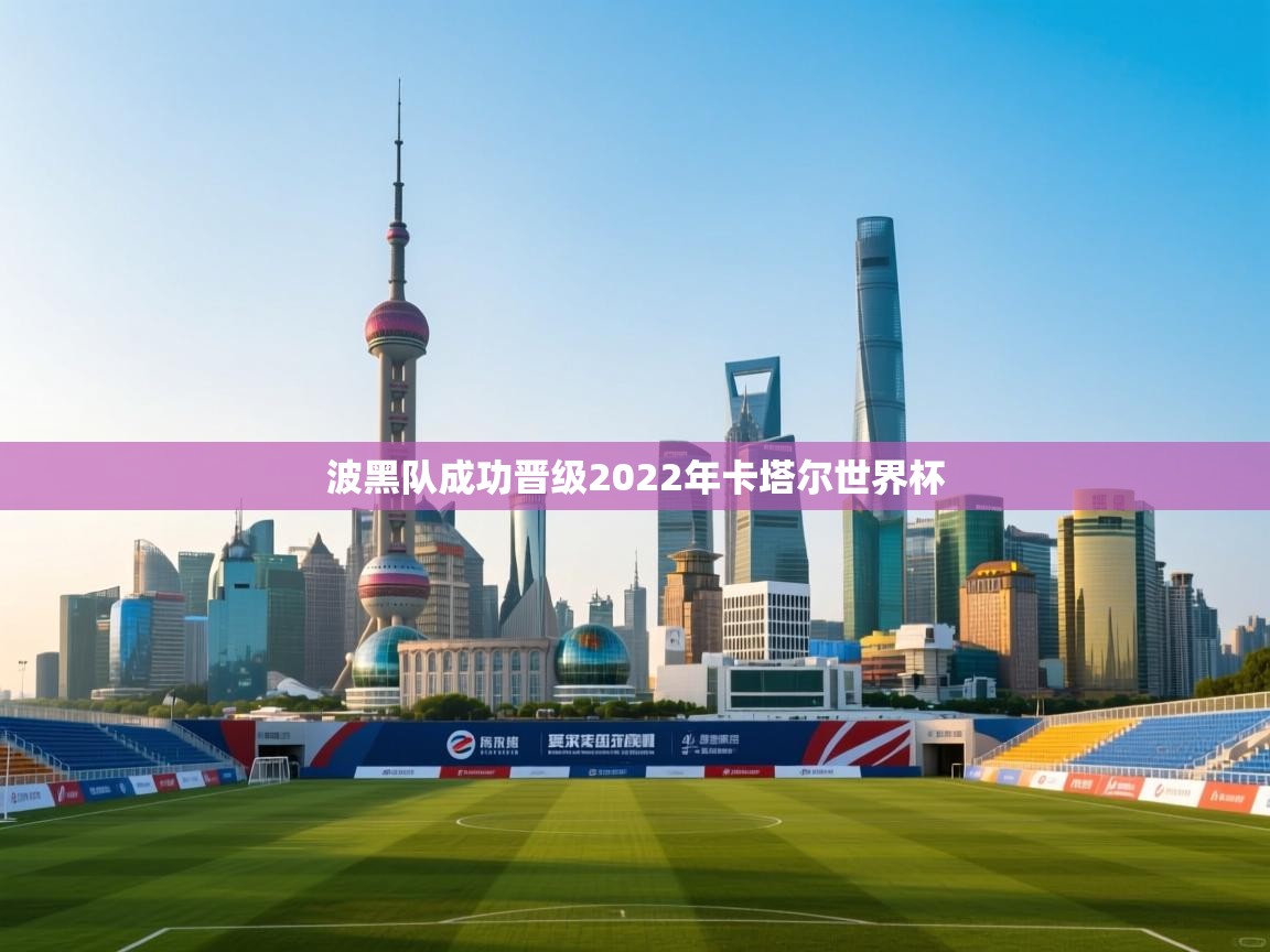 波黑队成功晋级2022年卡塔尔世界杯  第1张