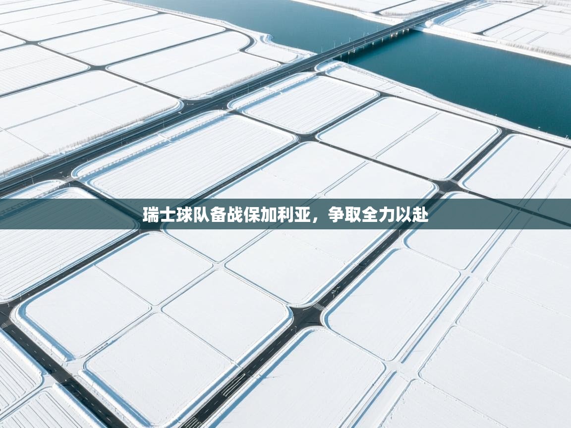 瑞士球队备战保加利亚，争取全力以赴  第1张