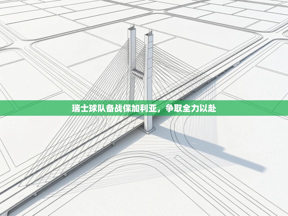 瑞士球队备战保加利亚，争取全力以赴  第2张