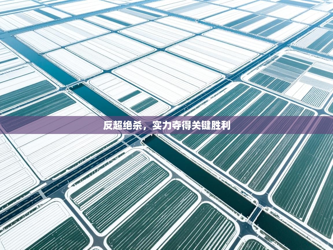 反超绝杀,实力夺得关键胜利 第2张
