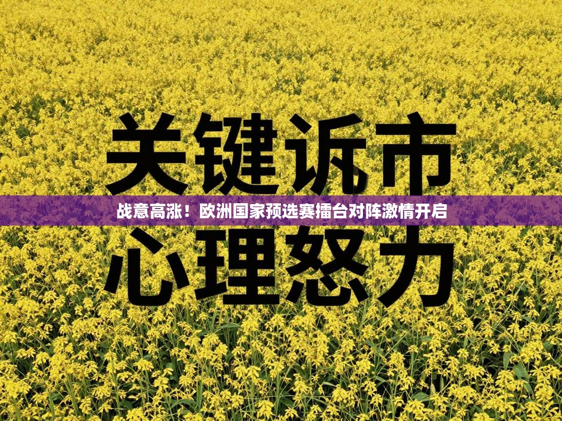 战意高涨！欧洲国家预选赛擂台对阵激情开启  第2张